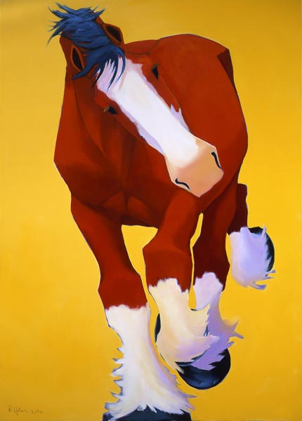 Clydesdale #22