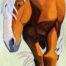 Draft Horse #26 - 2016
