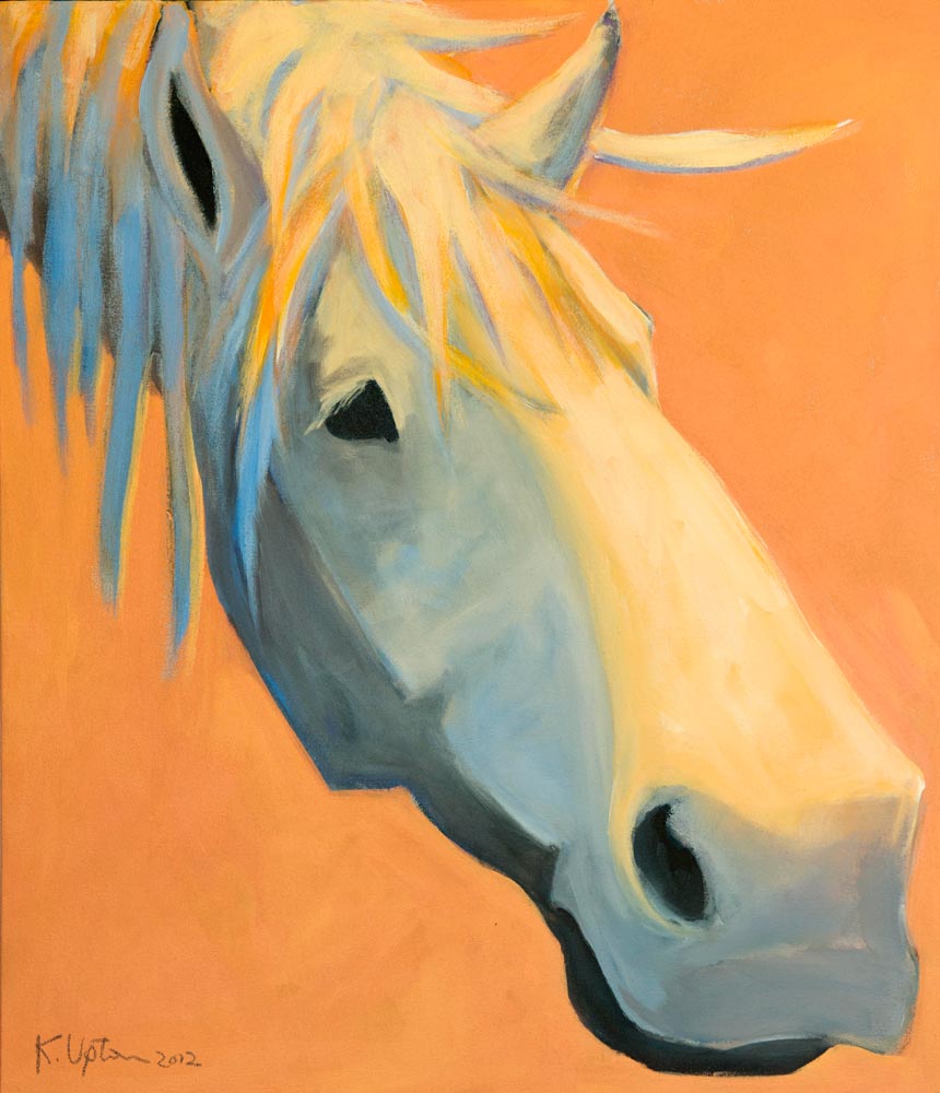 White Horse #66 - 28" x 24" | 2012 | SOLD