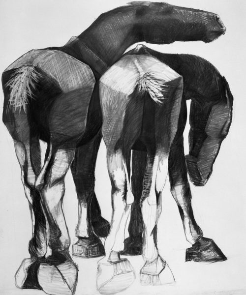 Drawing of a pair of horses