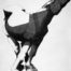 Horse with light drawing